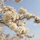 한전사택 이미지