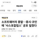 라니 미장
