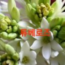 인생신호등 이미지