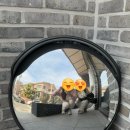 사림동155 | 창원 사림동 딥코드 창원대 근처 카페디저트 맛집 방문 후기