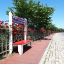 가곡강변로 이미지