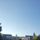 매일이기적