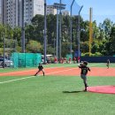 기흥구 리틀야구장 이미지