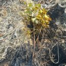 내죽고마을회관 이미지