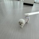 포그니유치원 이미지