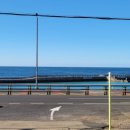 옹포민박 이미지