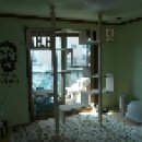 캣독방 | (캣타워 추천) 이제 캣타워의 시대는 갔다 ! CAT WALL(캣월)의 시대가 왔다!!