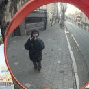 수봉 | [대구맛집] 대구 중화비빔밥 예약 및 방문 후기 ‘수봉반점'