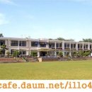 일로초등학교 이미지