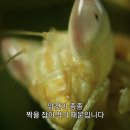 불이아한남점