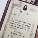 봄봄봄봄 봄이왔어요♥ 블로그 봄단장했어요 ^.~ / 생존신고 &amp; 지난 시절 회고록