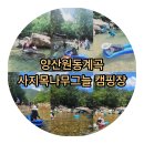 사지목나무그늘 이미지