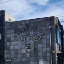 영월동강라메종펜션 | [여행후기] 강원도 영월