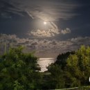 동해시-13 이미지