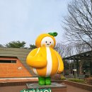 남성주참외(창원)휴게소 | 중부내륙고속도로 남성주 참외 휴게소 하행(창원방향) 메뉴