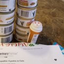 순수 동물병원 이미지