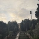 멍학당 | [이탈리아/로마] 2일차 바티칸 투어 / 자니콜로 / 콜로세움 야경