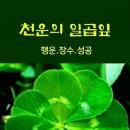 성대초등학교 이미지