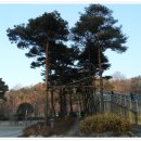 상무평화공원 이미지