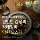 노스터(Noster) | 편안한 감성의 망리단길 칵테일 노스터 망원