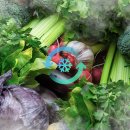 매직터지 이미지