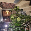 B1 코인 노래연습장 이미지