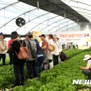 장성마을농장 이미지