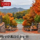 자연체계-산 | 아산 가볼만한곳 가족과 함께한 영인산자연휴양림 야영장 이용 후기