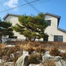 송해면-6 이미지