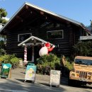 로빙화 | 제주도 서귀포 피자 맛집 로빙화, 분위기까지 만족