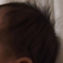 평화(두상) 이미지