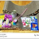 행복한 냥이네 이미지