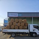 해태동물병원 | 조경업체도 믿고 주문하는 독도철강목재 야자매트 장점과 구리 조경 현장 출고후기