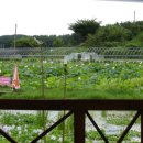 조금숙 | 조금숙의 삼성 테크윈 강의 참가 후기