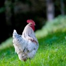 신원동-29 이미지