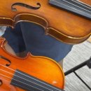 현악앙상블(중급) 이미지