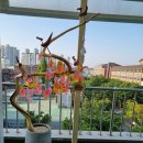 소원요양보호사교육원 이미지