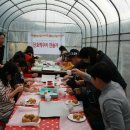 이루미농장 | 함평 이리네농장 단호박쿠키체험 꿈이룸지역아동센터와 함께~