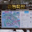 강원목장 이미지