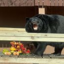 우치농장 이미지