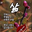 회심