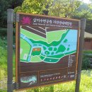 삼지수변공원 Daum카페
