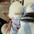 문정우리들약국 | -260713