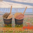 31140-14-20-18 | 분당젤라또 맛집 쿨리스트 정자동 수제 젤라또 14가지 맛 방문후기