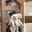 옹기종기 이미지