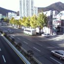 서여고 앞 이미지