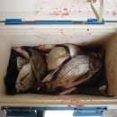 갯내음민박 이미지