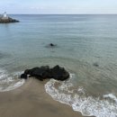 어달해변 이미지