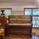 아람나무유치원 이미지