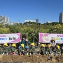 준혁농장 이미지